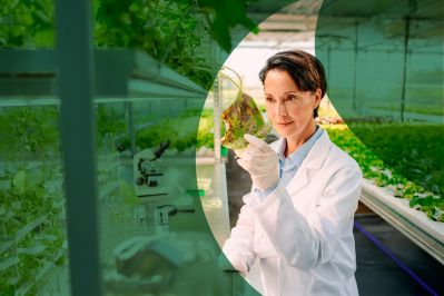 agricultural plant pathology laboratory analysis